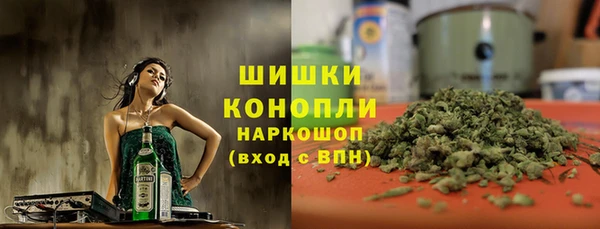 дживик Белокуриха