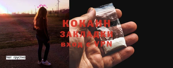 дживик Белокуриха