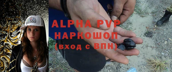 дживик Белокуриха