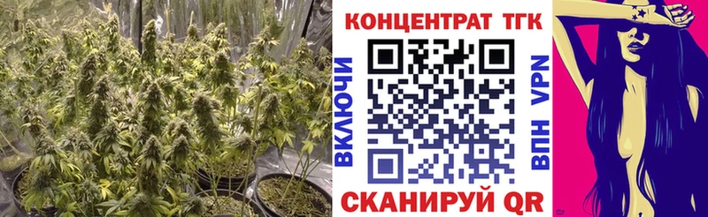 МЕГА как войти Белорецк ТГК вейп