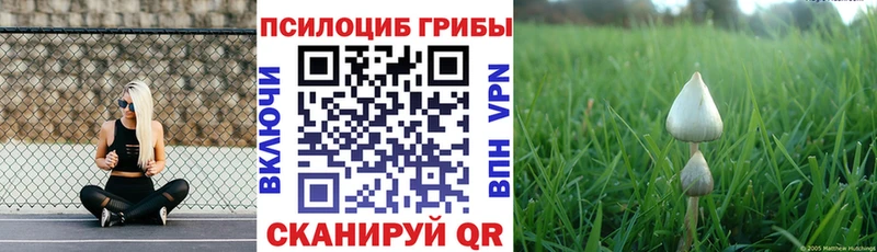 OMG ссылки  где купить наркоту  Белорецк  Псилоцибиновые грибы Cubensis 